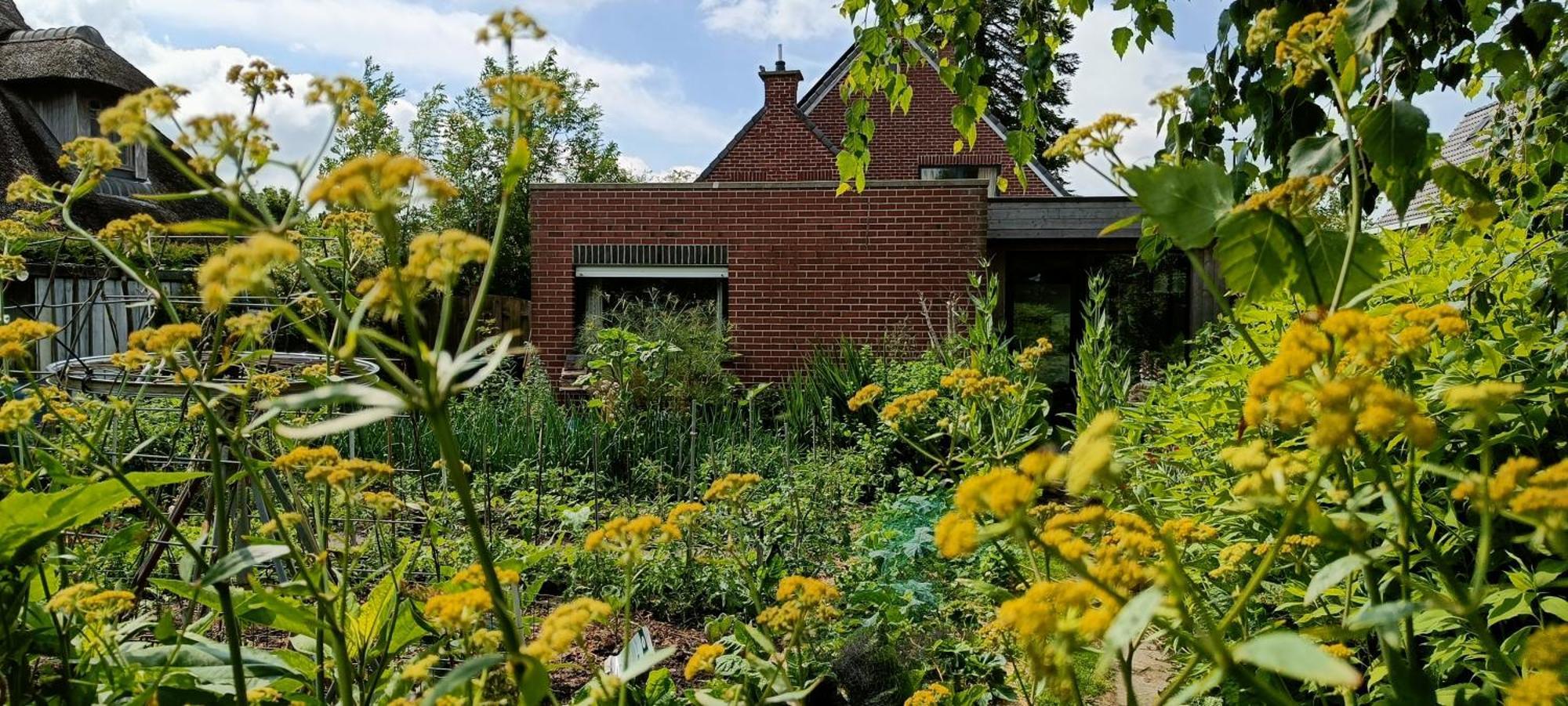 Апартаменти Bliss - Gate To The Flemish Ardens Ауденарде Екстер'єр фото